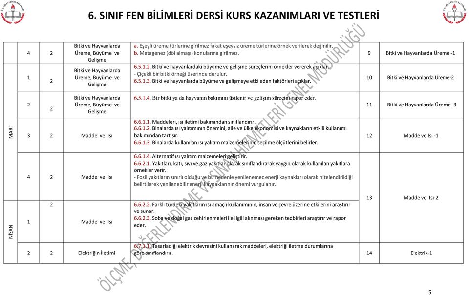 - Çiçekli bir bitki örneği üzerinde durulur. 6.5... Bitki ve hayvanlarda büyüme ve gelişmeye etki eden faktörleri açıklar.