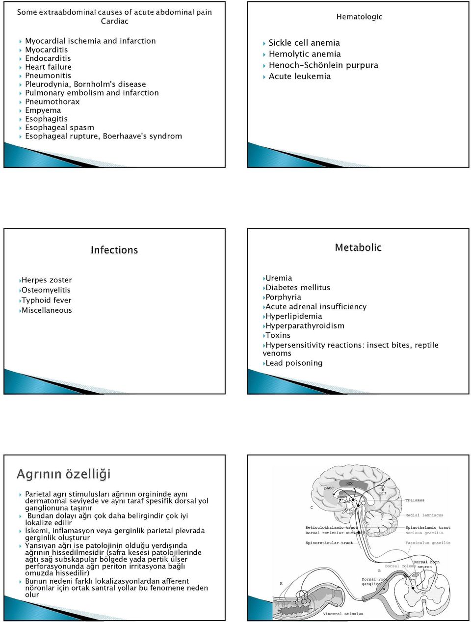 mellitus Porphyria Acute adrenal insufficiency Hyperlipidemia Hyperparathyroidism Toxins Hypersensitivity reactions: insect bites, reptile venoms Lead poisoning Parietal agrı stimulusları ağrının