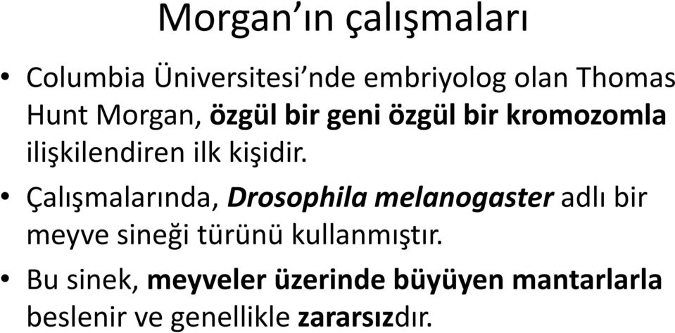 Çalışmalarında, Drosophila melanogaster adlı bir meyve sineği türünü