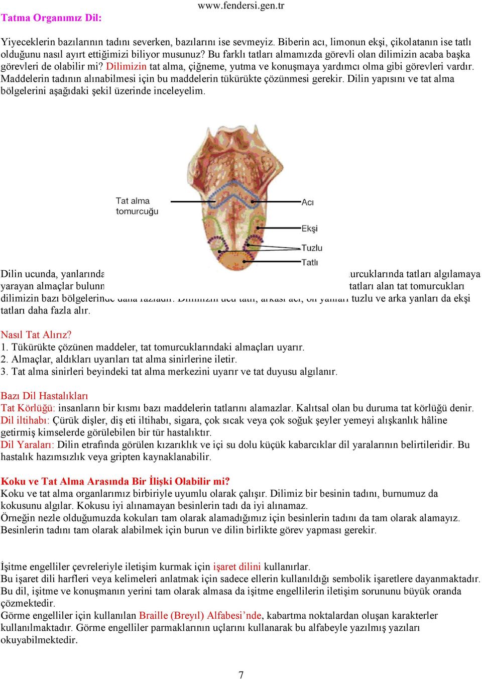 Maddelerin tadının alınabilmesi için bu maddelerin tükürükte çözünmesi gerekir. Dilin yapısını ve tat alma bölgelerini aşağıdaki şekil üzerinde inceleyelim.