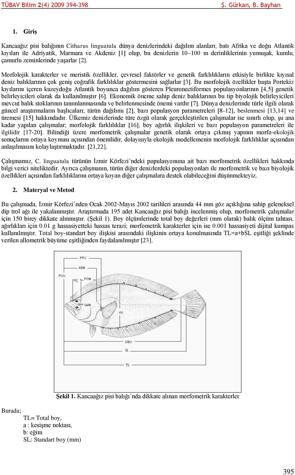 Morfolojik karakterler ve meristik özellikler, çevresel faktörler ve genetik farklılıkların etkisiyle birlikte kıyısal deniz balıklarının çok geniş coğrafik farklılıklar göstermesini sağlarlar [3].