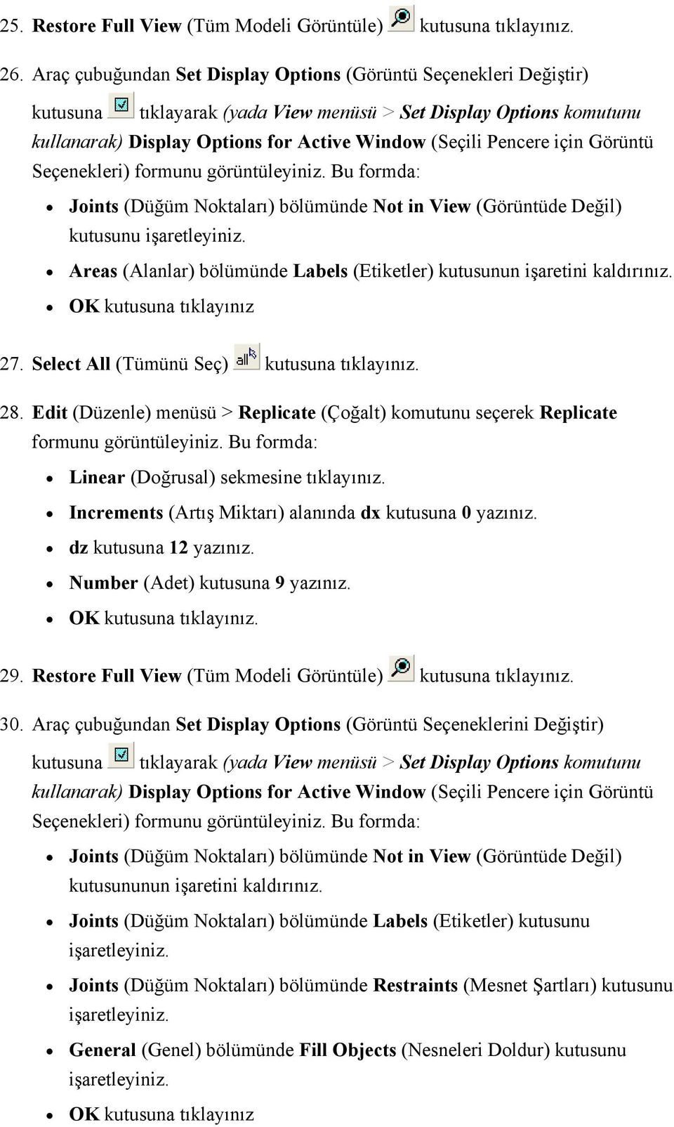 için Görüntü Seçenekleri) Joints (Düğüm Noktaları) bölümünde Not in View (Görüntüde Değil) kutusunu işaretleyiniz. Areas (Alanlar) bölümünde Labels (Etiketler) kutusunun işaretini kaldırınız.