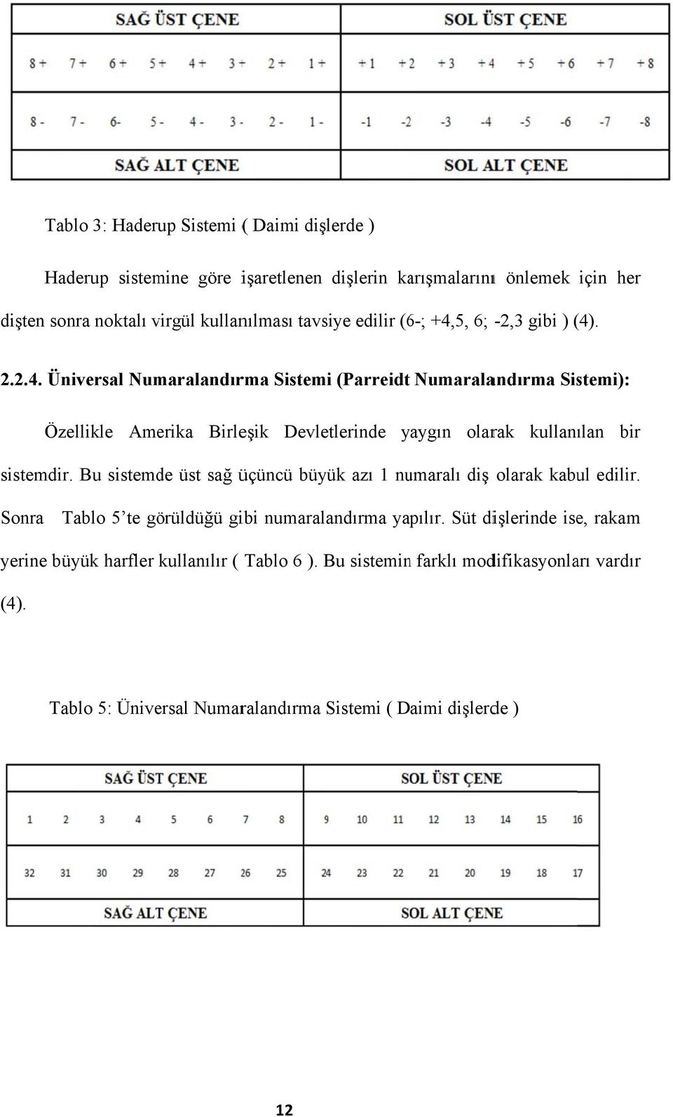 Bu sistemde üst sağ üçüncü büyük azı 1 numaralı diş olarak kabul edilir. Sonra Tablo 5 te görüldüğü gibi numaralandırma yapılır.