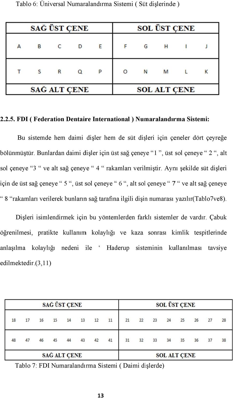 Bunlardan daimi dişler için üst sağ çeneye 1, üst sol çeneye 2, alt sol çeneyee 3 ve alt sağ çeneye 4 rakamları verilmiştir.