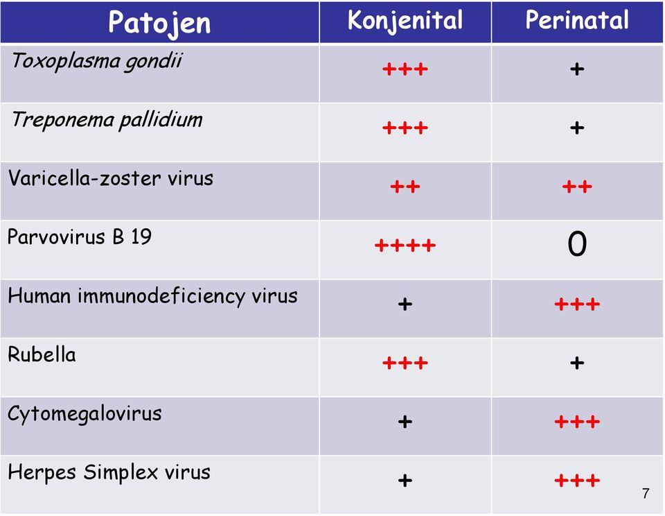 Parvovirus B 19 ++++ 0 Human immunodeficiency virus + +++