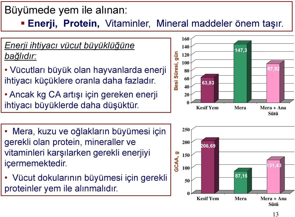 Ancak kg CA artışı için gereken enerji ihtiyacı büyüklerde daha düşüktür.