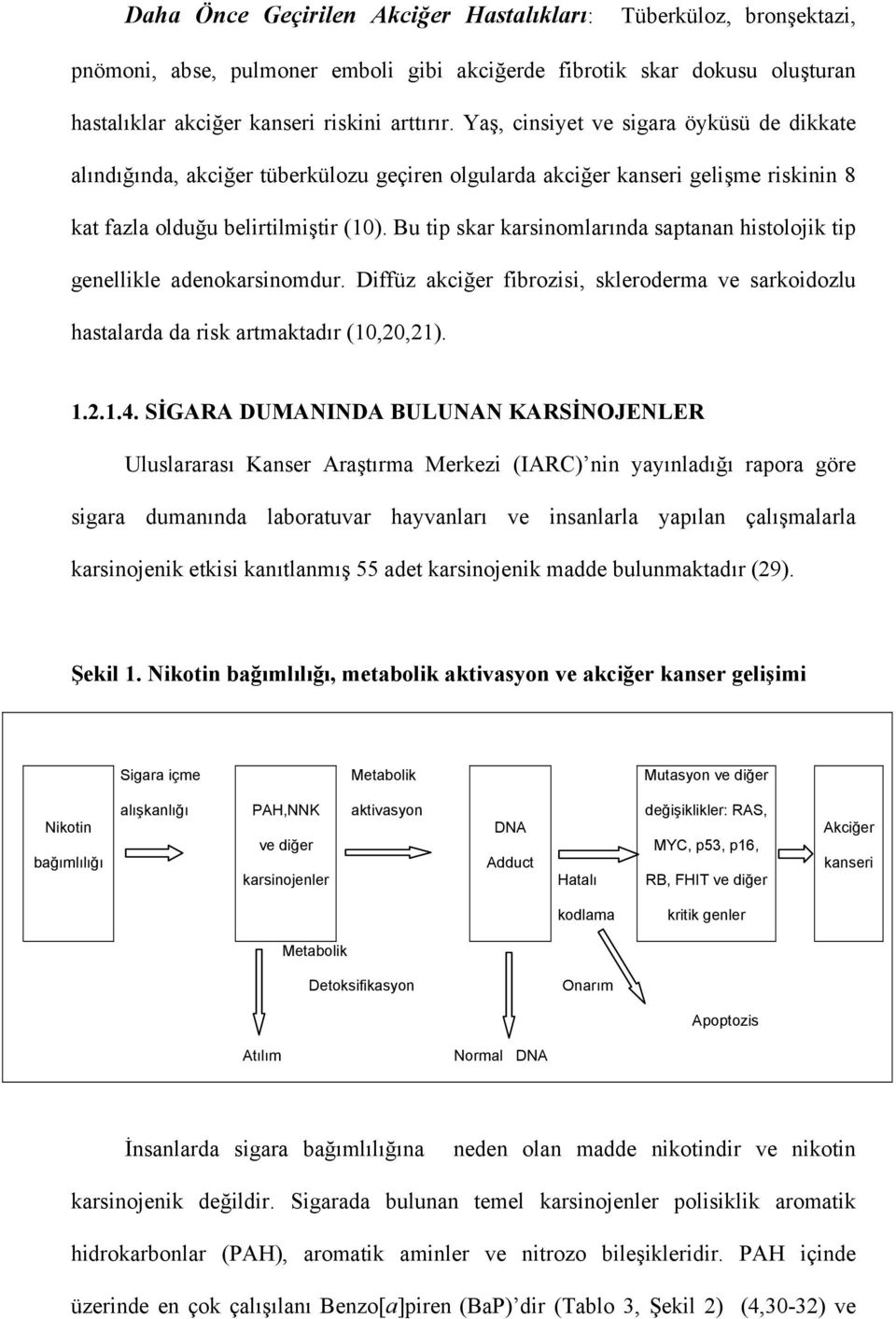 Bu tip skar karsinomlarında saptanan histolojik tip genellikle adenokarsinomdur. Diffüz akciğer fibrozisi, skleroderma ve sarkoidozlu hastalarda da risk artmaktadır (10,20,21). 1.2.1.4.