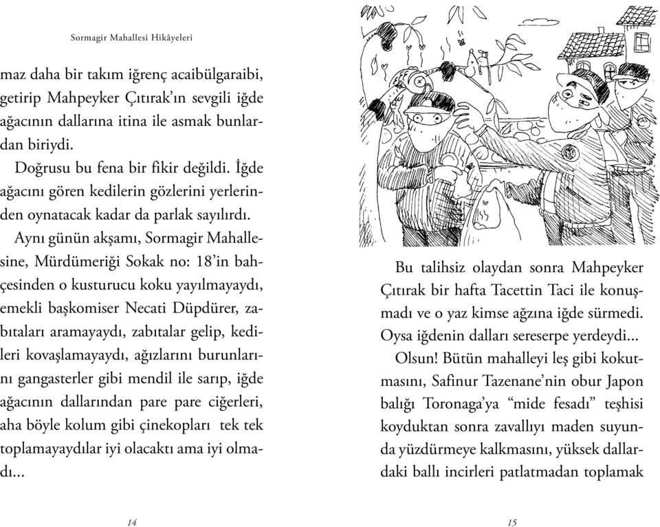 Aynı günün akşamı, Sormagir Mahallesine, Mürdümeriği Sokak no: 18 in bahçesinden o kusturucu koku yayılmayaydı, emekli başkomiser Necati Düpdürer, zabıtaları aramayaydı, zabıtalar gelip, kedileri