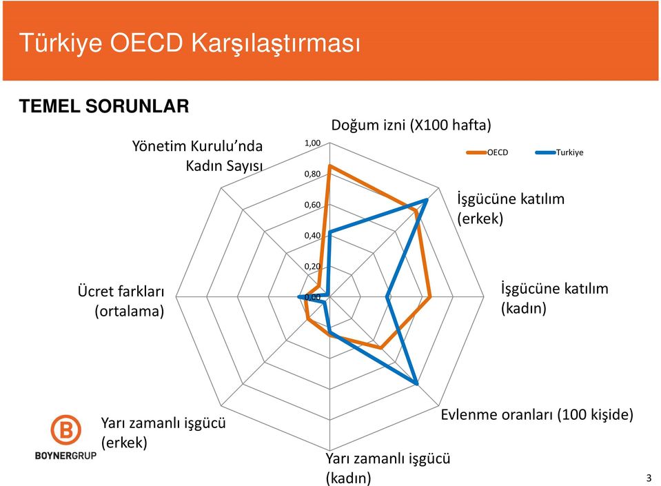 Turkiye Ücret farkları (ortalama) 0,20 0,00 İşgücüne katılım (kadın) Yarı