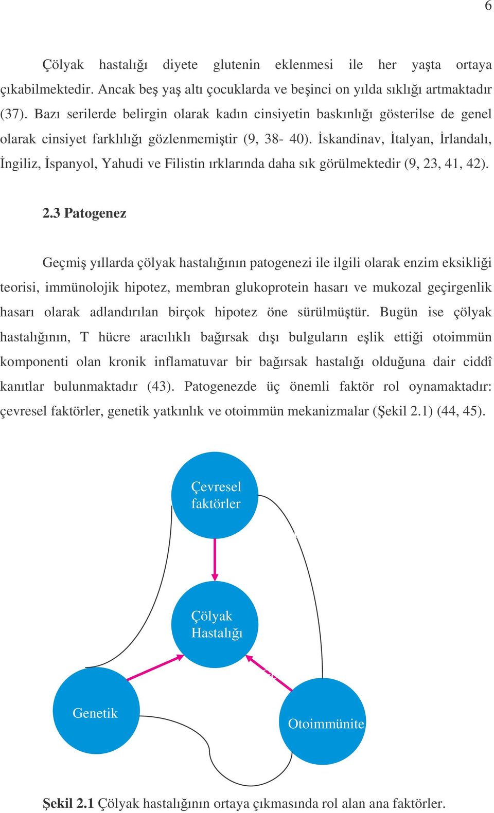 skandinav, talyan, rlandalı, ngiliz, spanyol, Yahudi ve Filistin ırklarında daha sık görülmektedir (9, 23