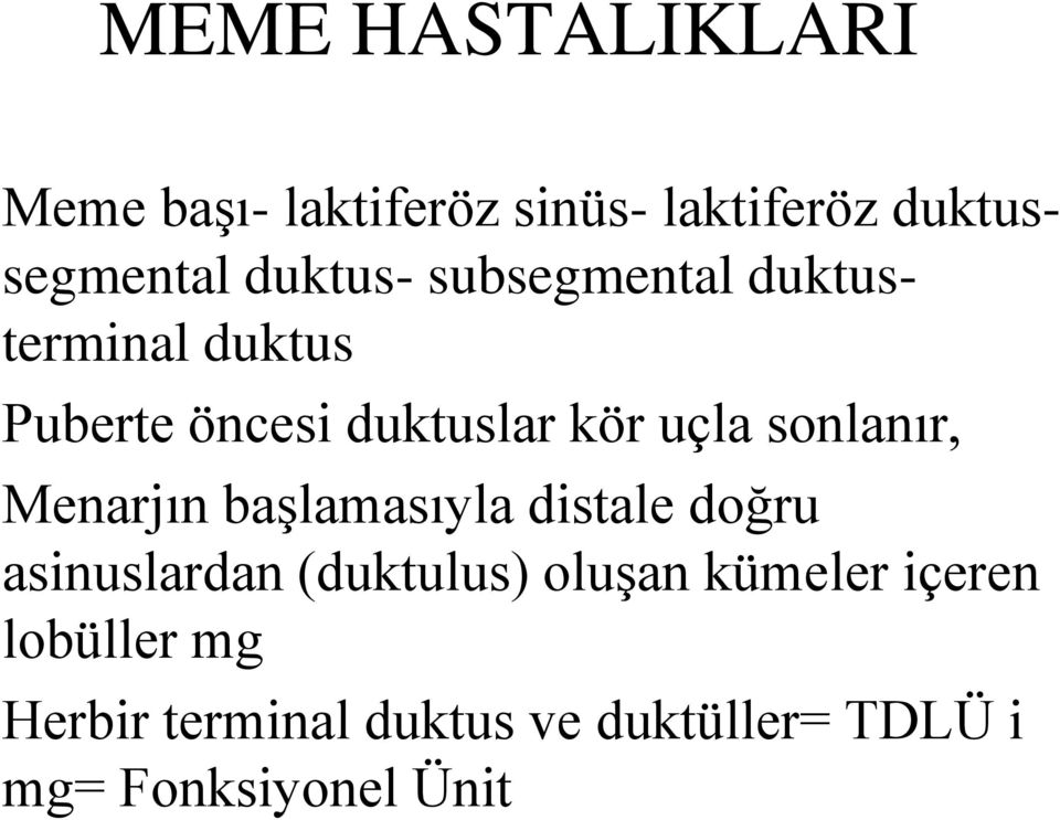 sonlanır, Menarjın başlamasıyla distale doğru asinuslardan (duktulus) oluşan