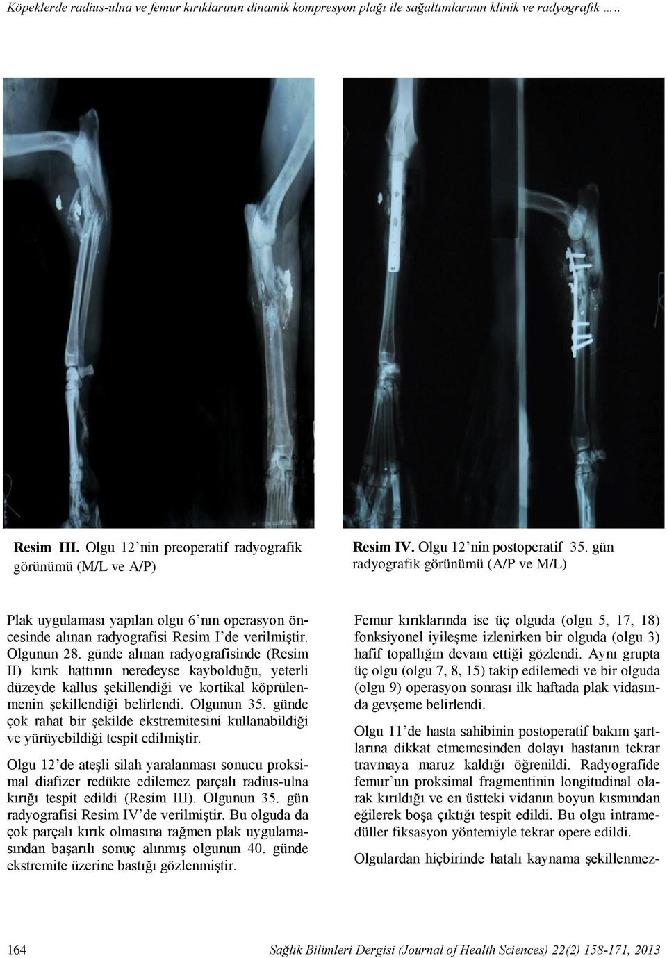 günde alınan radyografisinde (Resim II) kırık hattının neredeyse kaybolduğu, yeterli düzeyde kallus şekillendiği ve kortikal köprülenmenin şekillendiği belirlendi. Olgunun 35.