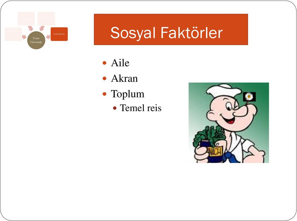 Haz Yeme Davranışı Sosyal faktörler