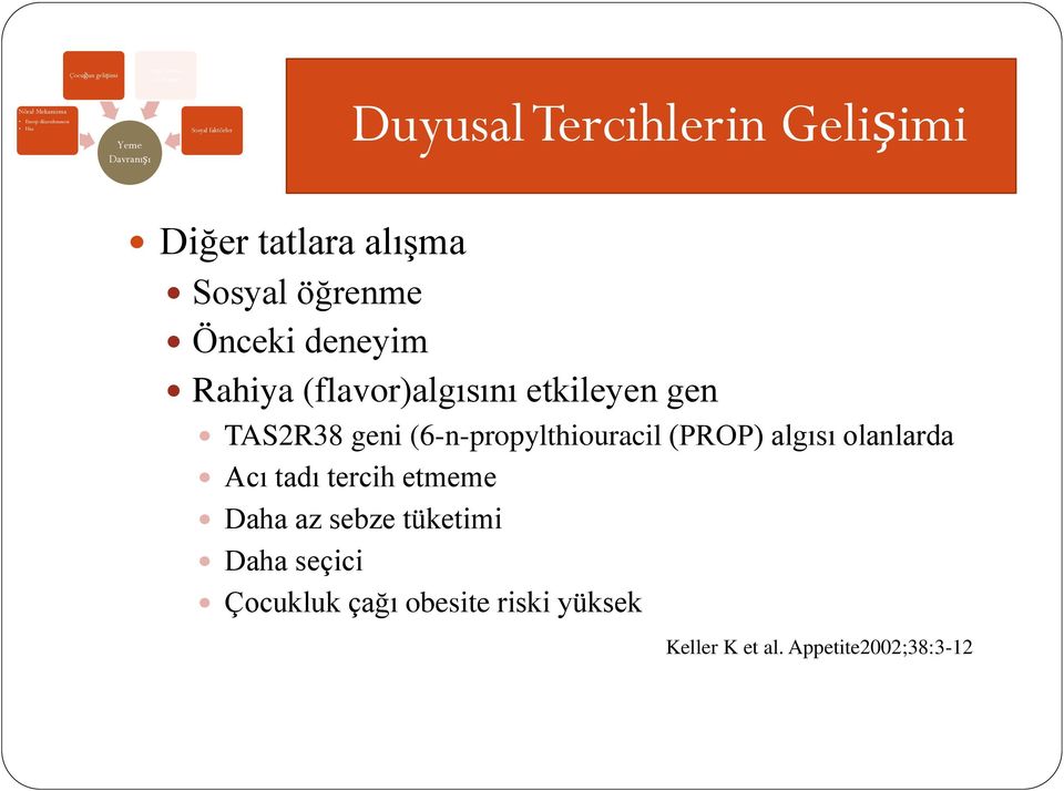 (flavor)algısını etkileyen gen TAS2R38 geni (6-n-propylthiouracil (PROP) algısı olanlarda Acı tadı