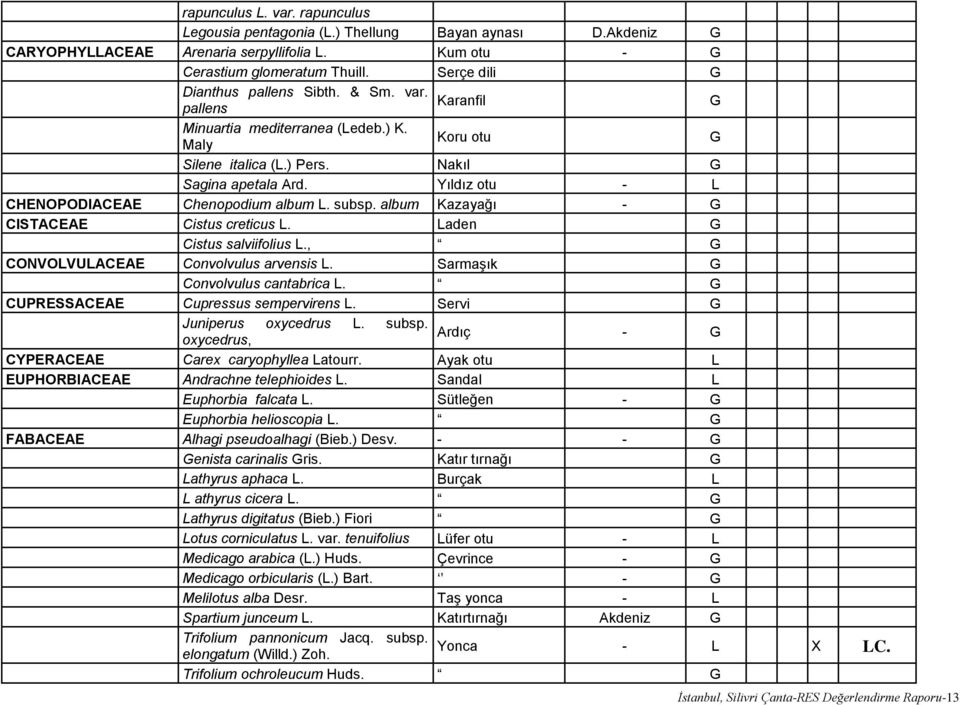 Yıldız otu - L CHENOPODIACEAE Chenopodium album L. subsp. album Kazayağı - G CISTACEAE Cistus creticus L. Laden G Cistus salviifolius L., G CONVOLVULACEAE Convolvulus arvensis L.