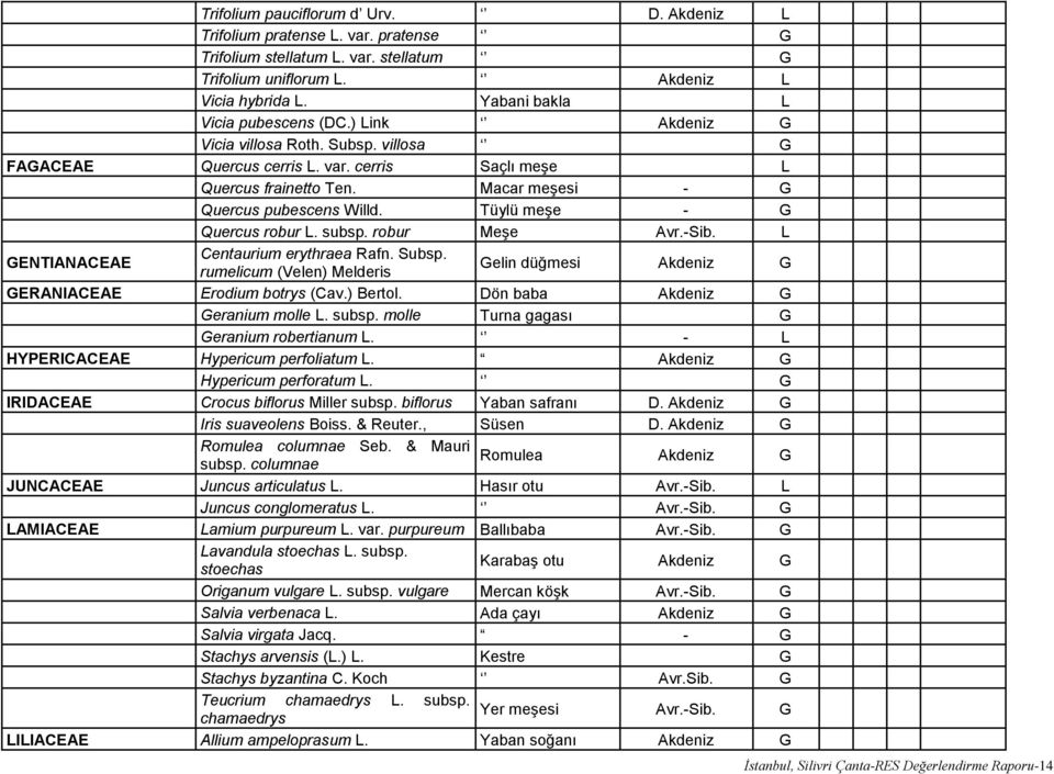 Macar meşesi - G Quercus pubescens Willd. Tüylü meşe - G Quercus robur L. subsp. robur Meşe Avr.-Sib. L GENTIANACEAE Centaurium erythraea Rafn. Subsp.