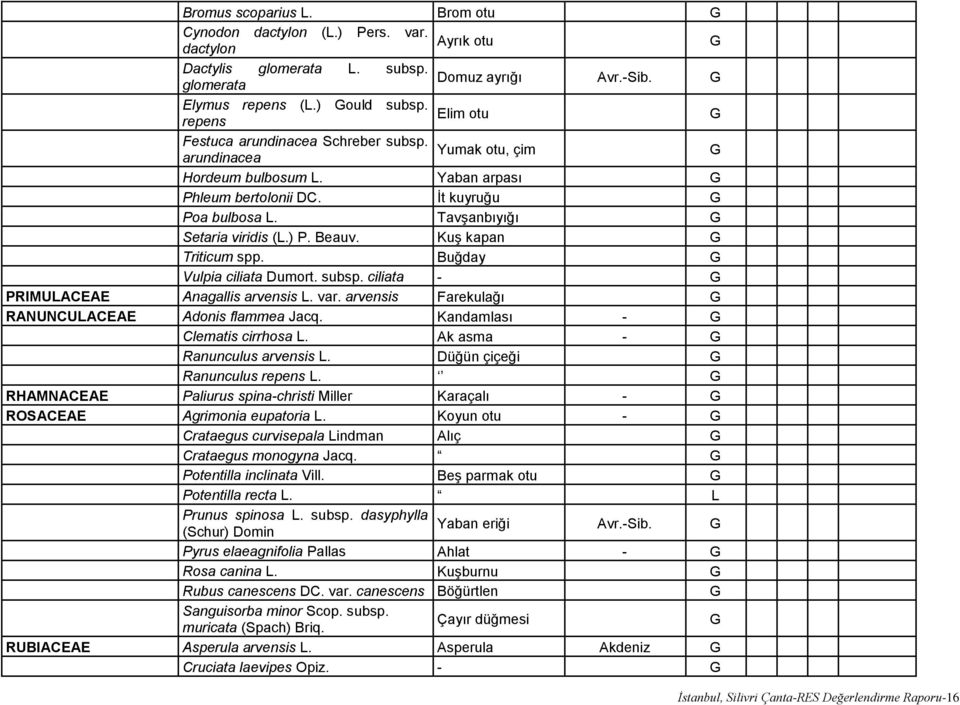 Tavşanbıyığı G Setaria viridis (L.) P. Beauv. Kuş kapan G Triticum spp. Buğday G Vulpia ciliata Dumort. subsp. ciliata - G PRIMULACEAE Anagallis arvensis L. var.