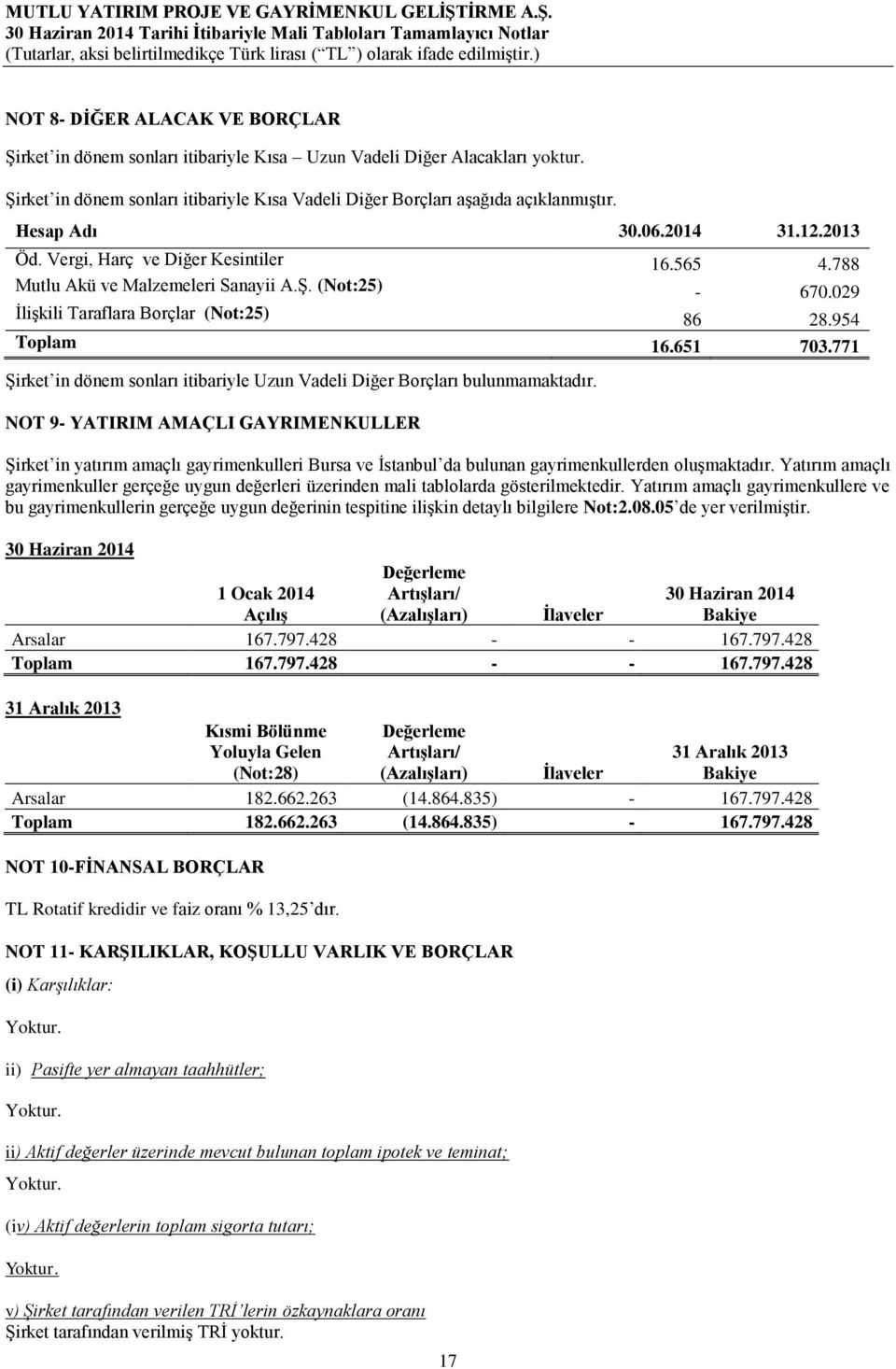 771 Şirket in dönem sonları itibariyle Uzun Vadeli Diğer Borçları bulunmamaktadır.