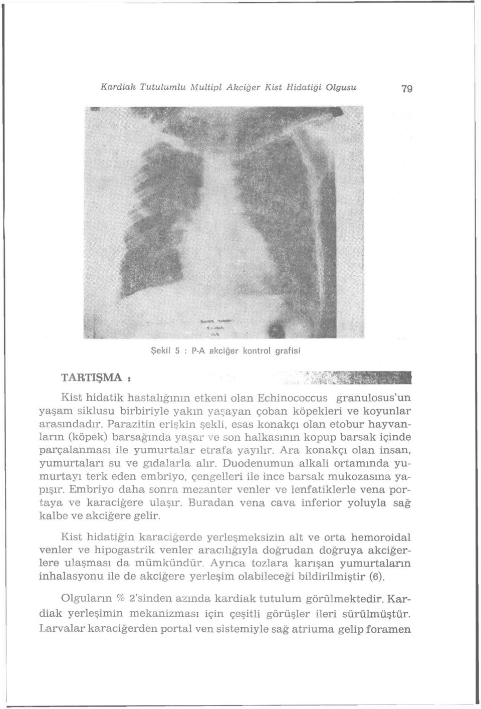 Parazitin erişkin şekli, esas konakçı olan etobur hayvanların (köpek) barsağmda yaşar ve son halkasının kopup barsak içinde parçalanması ile yumurtalar etrafa yayılır.