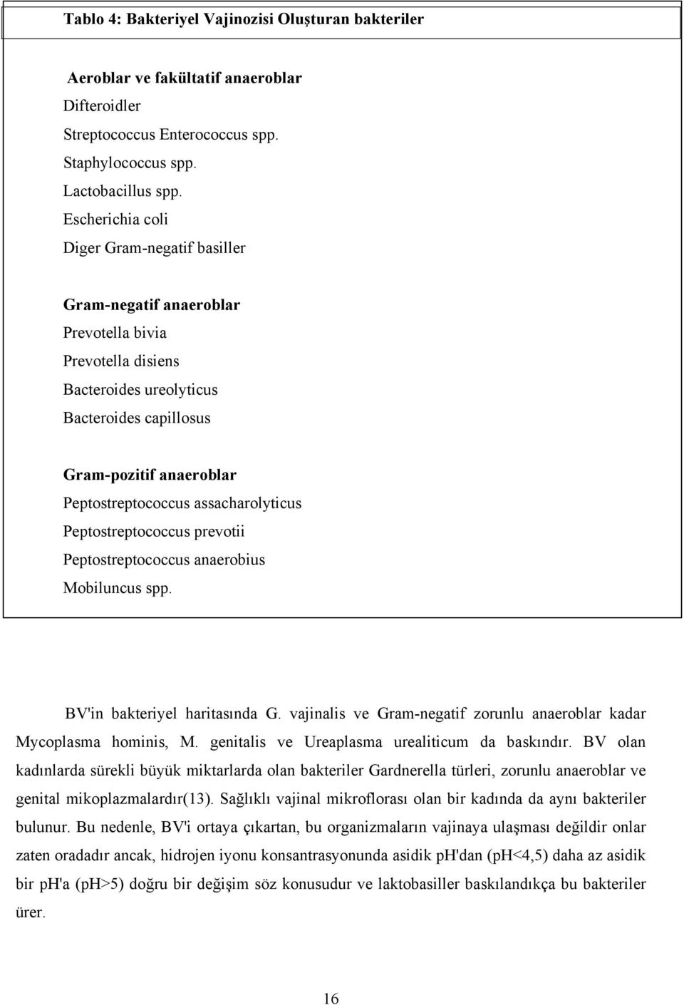 assacharolyticus Peptostreptococcus prevotii Peptostreptococcus anaerobius Mobiluncus spp. BV'in bakteriyel haritasında G. vajinalis ve Gram-negatif zorunlu anaeroblar kadar Mycoplasma hominis, M.