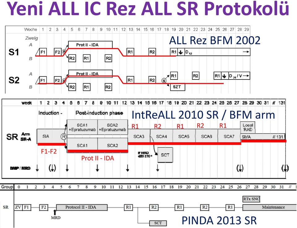 IntReALL 2010 SR / BFM arm R1