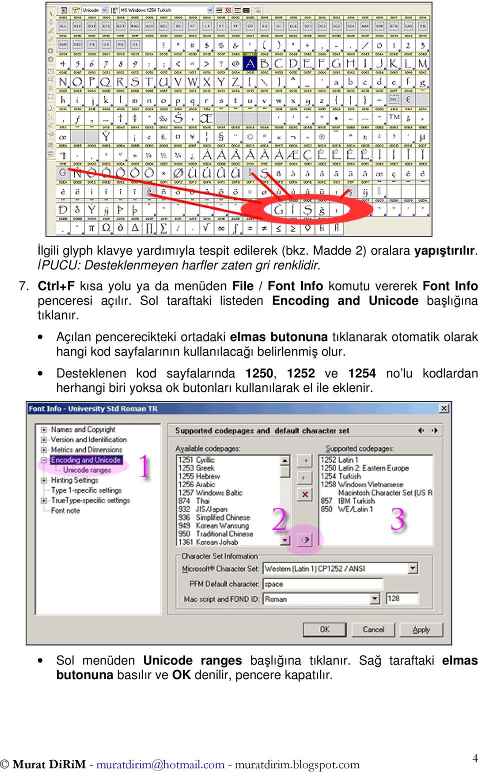 Açılan pencerecikteki ortadaki elmas butonuna tıklanarak otomatik olarak hangi kod sayfalarının kullanılacağı belirlenmiş olur.