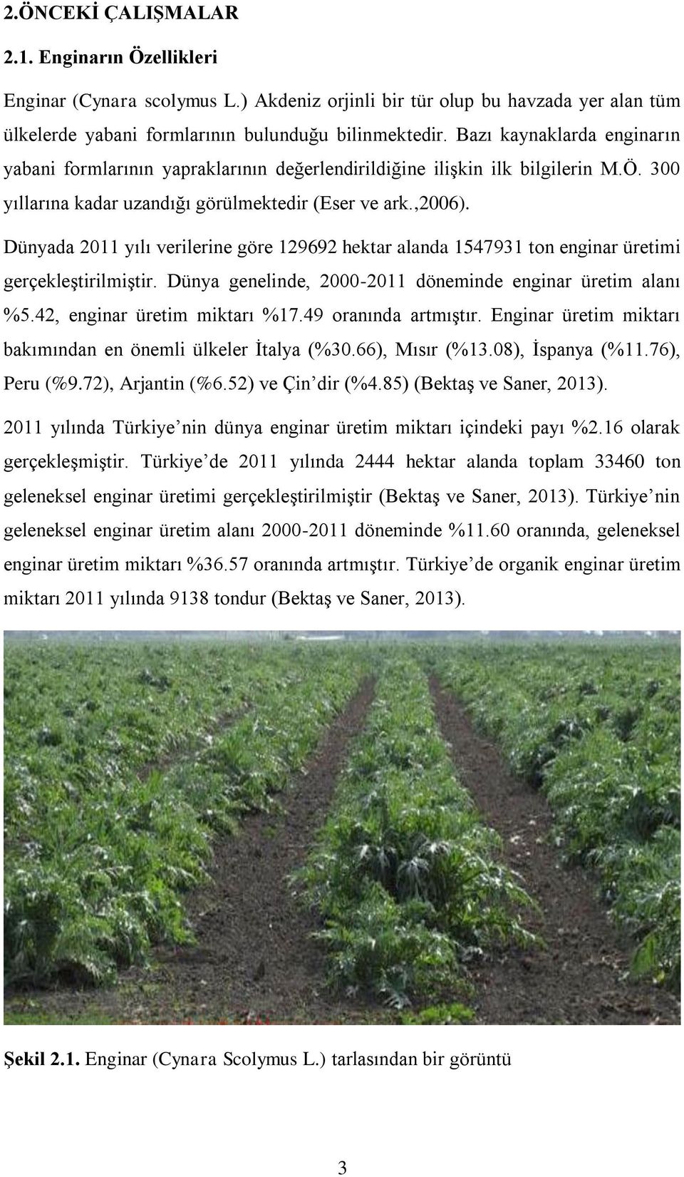 Dünyada 2011 yılı verilerine göre 129692 hektar alanda 1547931 ton enginar üretimi gerçekleştirilmiştir. Dünya genelinde, 2000-2011 döneminde enginar üretim alanı %5.42, enginar üretim miktarı %17.