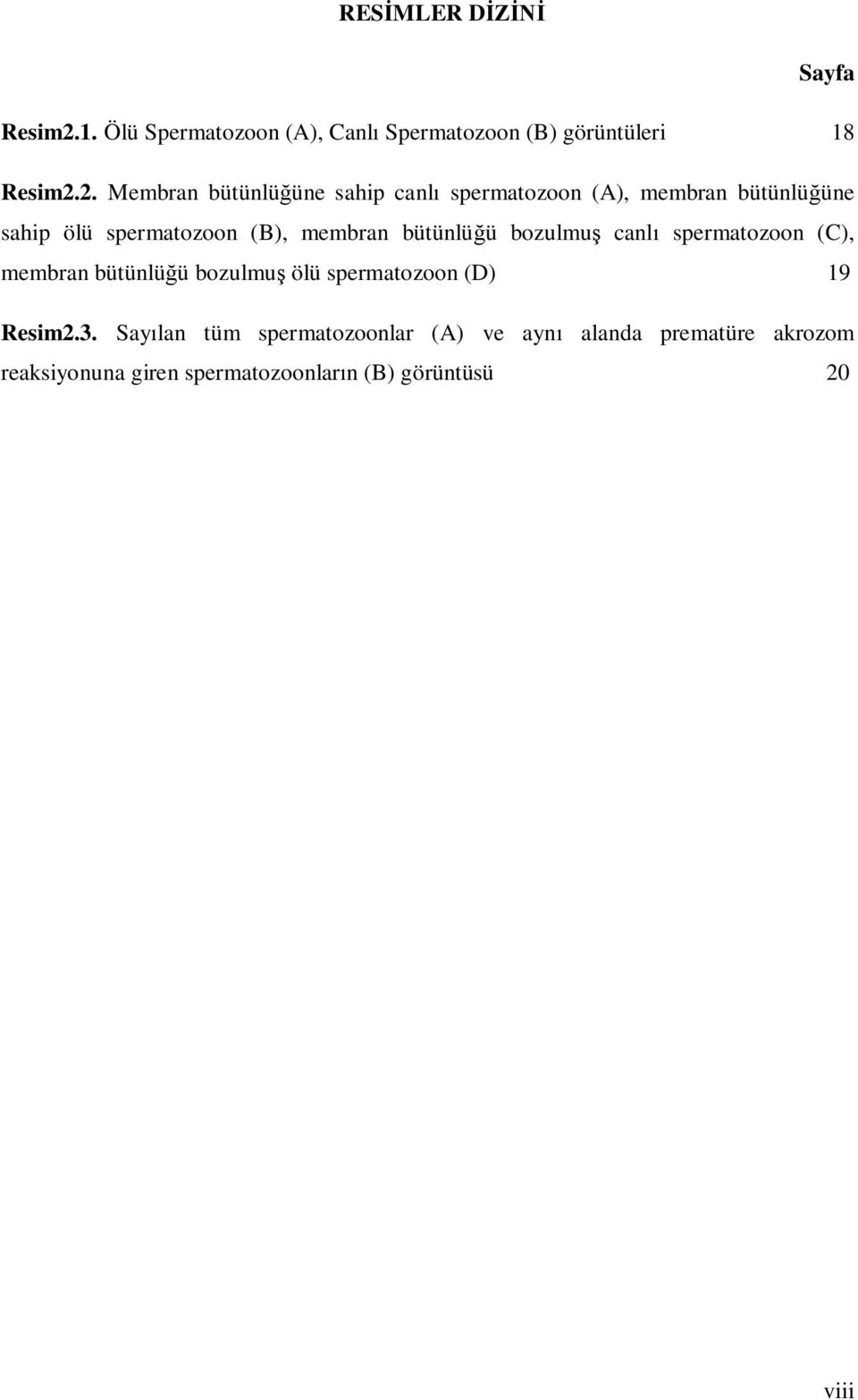 2. Membran bütünlüğüne sahip canlı spermatozoon (A), membran bütünlüğüne sahip ölü spermatozoon (B), membran