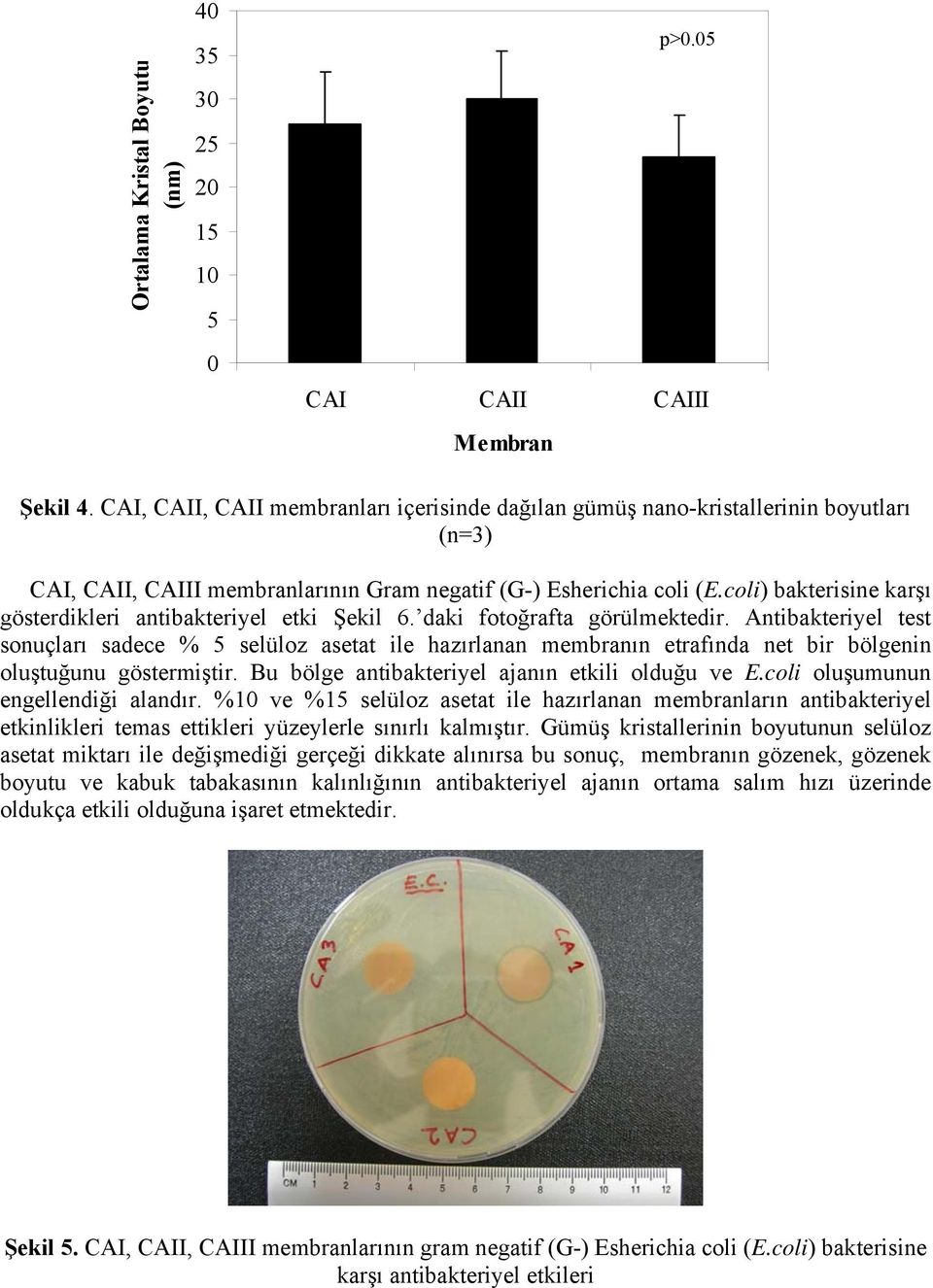 coli) bakterisine karşı gösterdikleri antibakteriyel etki Şekil 6. daki fotoğrafta görülmektedir.