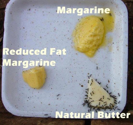 Margarin teknolojik olarak, homojen bir karışım oluşturmayan su ve/veya süt fazı ile yağ fazının meydana getirdiği emülsiyondur.