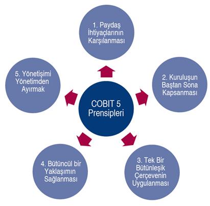 Ahmet EFE 46 Şekil 1: COBIT-5 Temel İlkeleri Kaynak: (ISACA, 2012: 13) den alınmıştır.