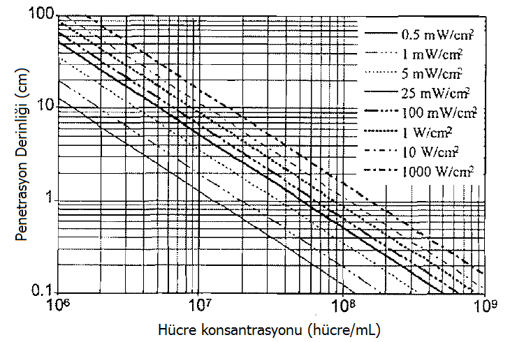 Katsuda ve ark. (2006) tarafından yeģil alg (Haematococus pluvialis) üretmek için, kesikli olarak mavi ıģık yayan LED ler kullanılmıģtır. Kullanılan LED lerin ıģık yoğunluğu 2-12 µmol.m -2.