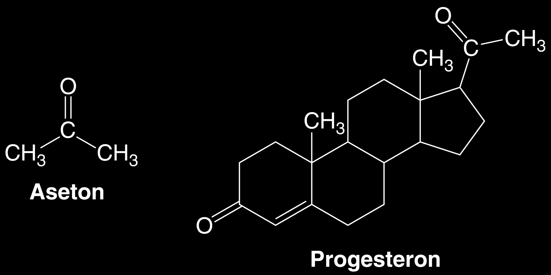 Aseton ve progesteron insan ve hayvan