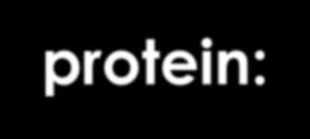 Kas Proteinleri-Myofibrilik Proteinler Alfa-aktin: Prolin miktarı aktin gibidir Globüler yapıdadır Z-hattının yapı taşıdır ve sağlamlığını sağlar %2-2.