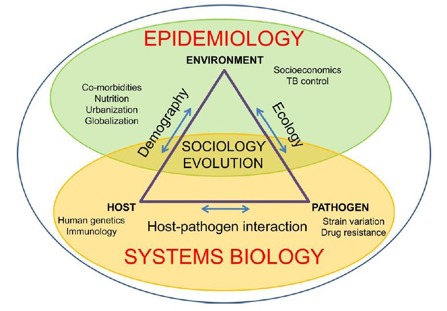 Sistem Epidemiyolojisi Moleküler epidemiyoloji Hastalıkların etiyolojisine, dağılımına ve önlenmesine etkisi olan genetik veya çevresel risk faktörlerini moleküler düzeyde araştıran bir bilim dalıdır