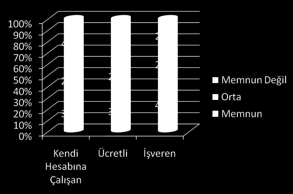 İşveren Olarak çalışanların %49,1 İ ücretli olarak çalışanların %37,8, kendi hesabına çalışanların ise % 34,1 i işlerinden elde ettikleri kazançtan