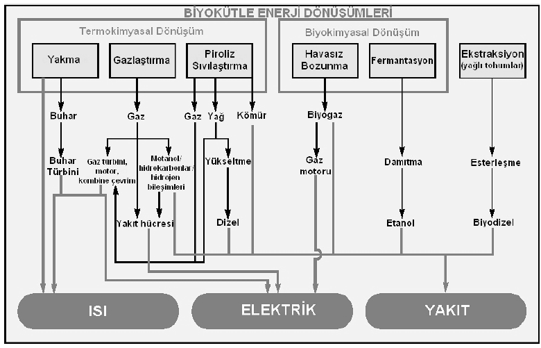 13. BİYOKÜTLEYE DAYALI ELEKTRİK ÜRETİMİ İÇİN MAKİNA VE EKİPMANLAR 13.