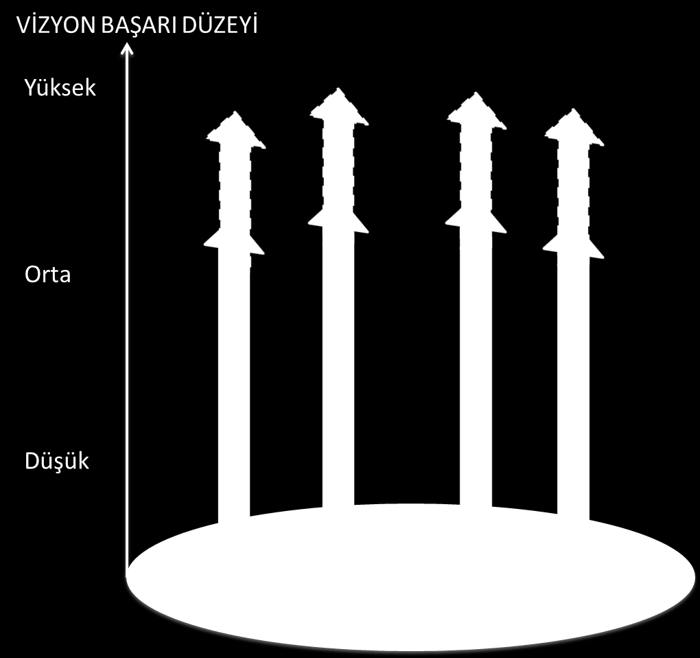 hizmetin düzeyi hususunda genellikle bir bildirimde bulunmaz. Hizmetin düzeyine ilişkin bildirim vizyon ile doldurulur. Bu bağlamda vizyon, liderlik ve yönetim işidir.