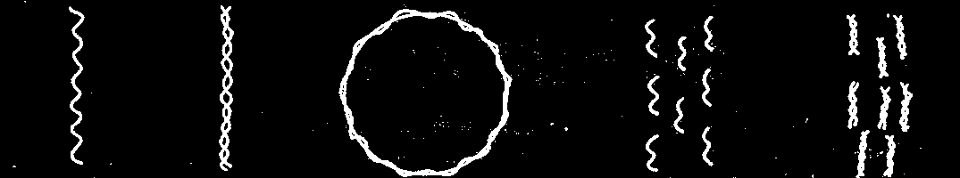 Bütün RNA viruslarınin nükleik asitleri linear yapı gösterir. DNA virusların de ise hem linear hem de çembersel nükleik asit yapısı görülür.