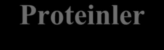 Viral Proteinler Kapsomerler kapsidlerin protein yapısının temel yapı taşlarıdır. Bu protein tabakasının virusün varlığını devam ettirebilmesi, için oldukça önemli görevleri vardır.