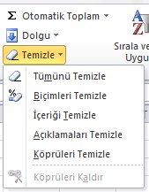 Temizle Temizle düğmesi bizim için farklı silme seçenekleri sunar. Örneğin bir tablonun sadece içeriğini ya da sadece biçimini vs. temizlemek istiyorsak temizle butonunu kullanabiliriz.