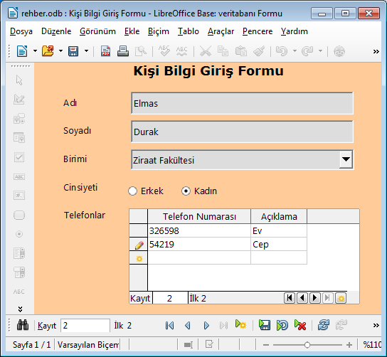 4.2 Aşağıdaki gibi "Kişi Giriş Formu" oluşturun.