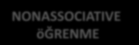 ÖRTÜK Basit Klasik koşullama PROCEDURAL (Yetenek& alışkanlık) PRIMING & PERCEPTUAL LEARNING NONASSOCIATIVE öğrenme