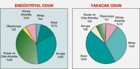 Dünya