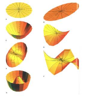 Şekil 8: (A) piston (Z 0,0); (B) tilt aberasyon (Z 1,1); (C) Defokus aberasyon (Z 2,0); (D) silindirik: defokus silindirik (Z 2,2); (E) koma aberasyon (Z 3,1); (F) Trefoil aberasyon (triangular