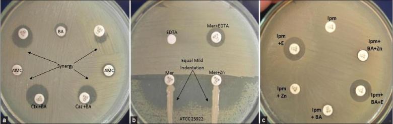 Soru : Enterobacterobacteriaceae karbapenemaz?