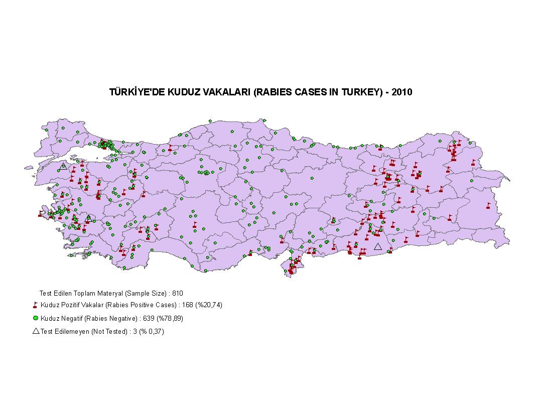 İnsidans 2009