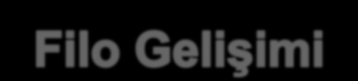 GeniĢ Gövde Fleet Additions of 105 Aircraft Type 2010 2011 2012 2013 2014 2015 TOTAL B777-3ER 3 7 - - - 10 A330-300 2 4 3 - - 9 Toplam 5 11 3 0 0 19 B737-900ER - 2 4 2 2 10 B737-800 - 2 5 2 1 10 Dar