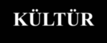 KÜLTÜR (EKİN) ÖZDEKSEL (MADDİ) - TİNSEL (MANEVİ) Sosyologlar ve antropologlar KÜLTÜR sözcüğünü, insan toplumunun biyolojik olmayan; dil, gelenek ve görenek gibi öğrenilmiş ya da simgesel