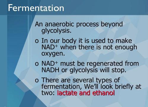 Fermentasyon Glikolizin dışında bir anaerobik olaydır.
